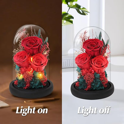Casaido Preserved Roses Flowers for Delivery, Red Forever Flores in Glass Dome for Women Mom Wife Girlfriend Grandma, Eternal Rose Anniversary Birthday Gift for Mothers Day Valentines Christmas
