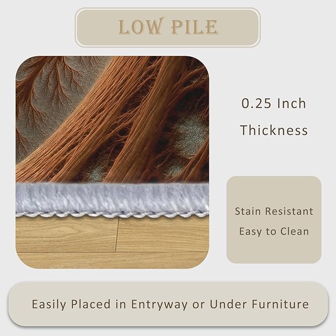 Abstract Art Rug 4x6, Washable Fractal Rugs for Living Room Bedroom, Contemporary Aesthetic Area Rug for Home Decor, Non Slip Backing Floor Carpet with Gripper - 4 x 6 ft