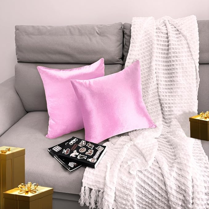 2 Pack 18x18 Pillow Cover Velvet Pillow Covers, Square Throw Pillow Covers for Living Room Decorations Throw Pillow Case, Throw Pillow Cover Cushion Cover for Sofa Bedroom Car, Pink Velvet