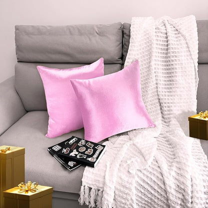 2 Pack 18x18 Pillow Cover Velvet Pillow Covers, Square Throw Pillow Covers for Living Room Decorations Throw Pillow Case, Throw Pillow Cover Cushion Cover for Sofa Bedroom Car, Pink Velvet