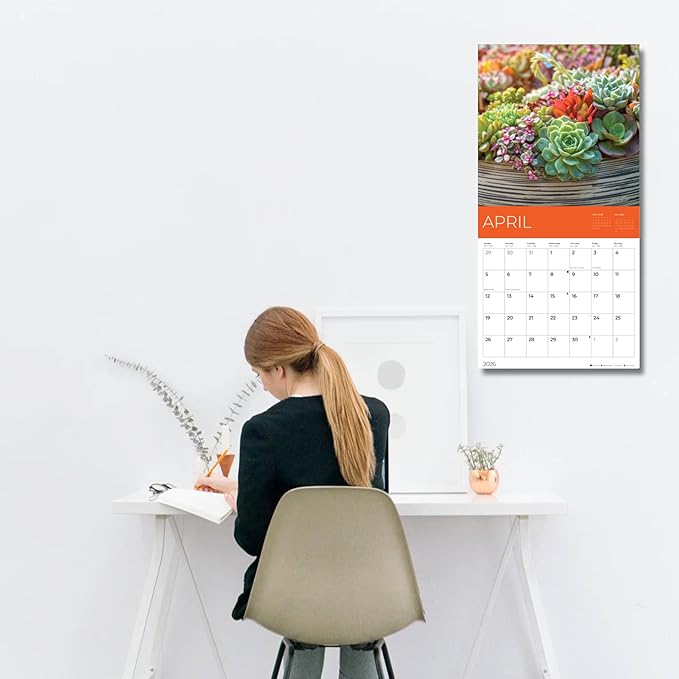2026 Succulents Wall Calendar 18 Month | 12" x 24" Open | Giftable Flowers Calendar 2026 | Thick & Sturdy Paper for Organizing & Planning | Pacific Waters Press (Succelents)