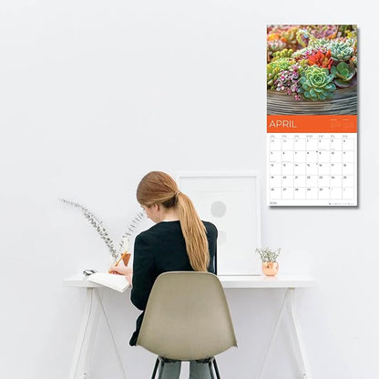 2026 Succulents Wall Calendar 18 Month | 12" x 24" Open | Giftable Flowers Calendar 2026 | Thick & Sturdy Paper for Organizing & Planning | Pacific Waters Press (Succelents)