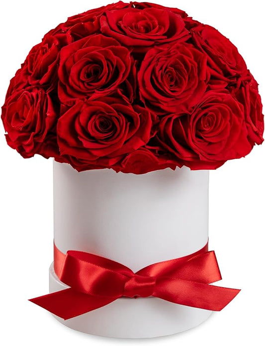 Preserved Roses Dome in a Box, Forever Real Roses Decor, Eternal Flowers for Delivery Prime, Best Gifts Birthday, Wedding, Anniversary, Mother's Day, Christmas for Her, 18-Pieces (Red)
