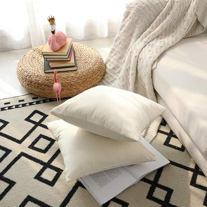 Set of 2 Comfortable Throw Pillow Cover for Bedding, Decorative Accent Cushion Sham Case for Couch Sofa, Soft Solid Velvet with Zipper Hidden - 14"x14", Ivory