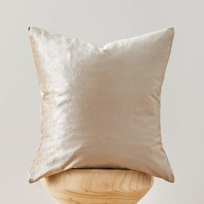 GIGIZAZA Velvet Throw Pillow Covers 16x16,Pack of 2 Champagne Beige Modern Pillow Covers Square Small Solid Pillow Vintage Cases for Living Room Couch