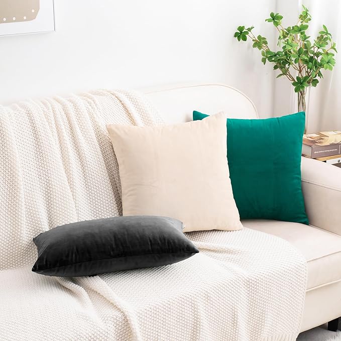 HWY 50 Teal Velvet Throw Pillow Covers 20x20 Inch, Pack of 2 Soft Cozy Solid Decorative Luxury Cushion Cases for Couch Sofa Bed Living Room Bedroom