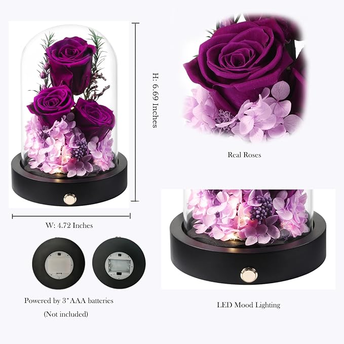 Flowers Gifts for Women, Preserved Roses in Glass Dome, Forever Flowers for Delivery Mothers Day Birthday Gifts for Mom Wife Girlfriend on Valentines Day Anniversary Christmas Purple