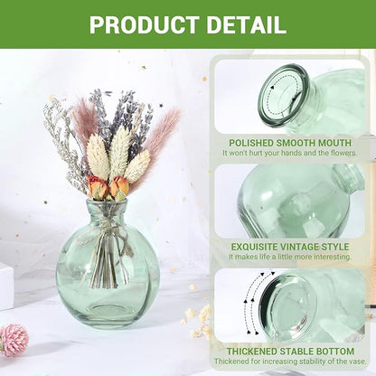 Suream Green Small Flower Vase, Set of 3 Cute Vase for Minimalist Decor, Glass Bud Vases for Home Table Flower Decoration