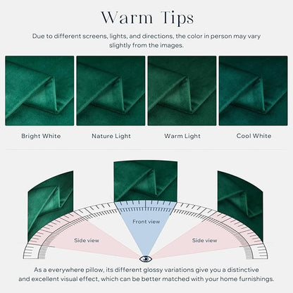 Phantoscope Pack of 2 Velvet Decorative Throw Decorative Pillow Cover Soft Solid Square Cushion Case for Couch Emerald Green 20 x 20 inches 50 x 50 cm