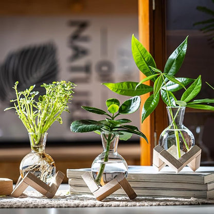 Propagation Stations, Propagation vases with Wooden Stand, Small Tabletop Glass Bulb Vases for Hydroponics Plant Propagation Station Home Office Decoration, Gift for Women Plant Lovers (4)