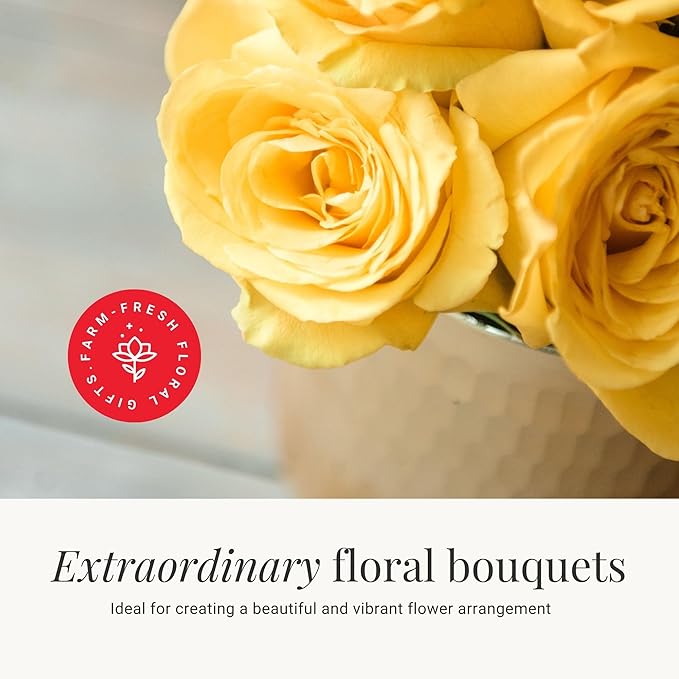 BloomsyBox - Yellow Roses - 24 Long Stems,Long Lasting, Hand-Tied in Eco-friendly,Vase Not Included, Fresh Flowers for Delivery – Gift for Birthday, Anniversary,Congratulations, Wedding