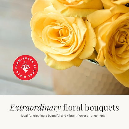 BloomsyBox - Yellow Roses - 24 Long Stems,Long Lasting, Hand-Tied in Eco-friendly,Vase Not Included, Fresh Flowers for Delivery – Gift for Birthday, Anniversary,Congratulations, Wedding