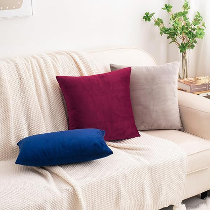 HWY 50 Wine Red Velvet Throw Pillow Covers 20x20 Inch, Pack of 2 Soft Cozy Solid Decorative Luxury Cushion Cases for Couch Sofa Bed Living Room Bedroom