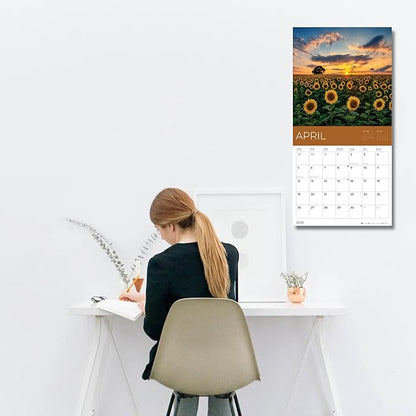Sunflowers Wall Calendar 2026 | Sunflower Field Calendar | 12" x 24" Open | Giftable Flowers Calendar 2026 | Thick & Sturdy Paper | Pacific Waters Press (Sunflowers)