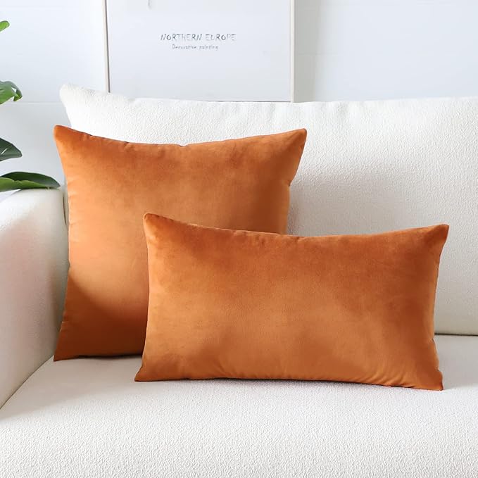 Artscope Luxury Velvet Pillow Covers Super Soft Decorative Rectangle Throw Pillow Covers Case Cushion Covers for Sofa Couch Bedroom Car Decor 16x24 Inch Orange
