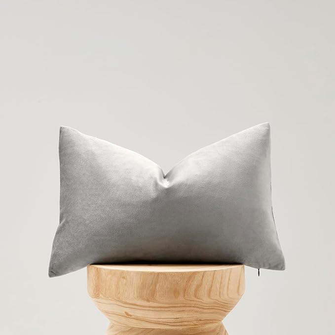 Silver Grey Velvet Decorative Throw Pillow Covers for Sofa Bed 2 Pack Soft Cushion Cover