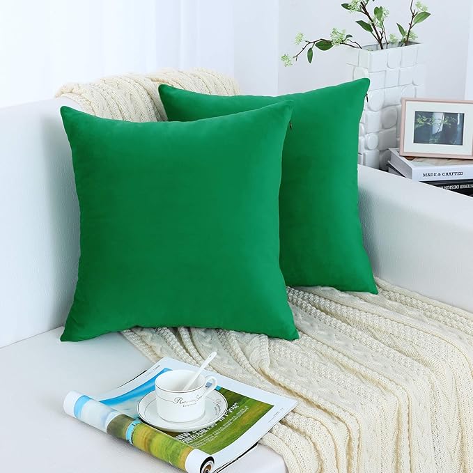 Jeneoo Set of 2 Comfy Soft Velvet Christmas Throw Pillow Cases for Sofa Couch, Decorative Solid Square Cushion Covers for Bedroom Car (18 x 18 Inches, Bright Green)