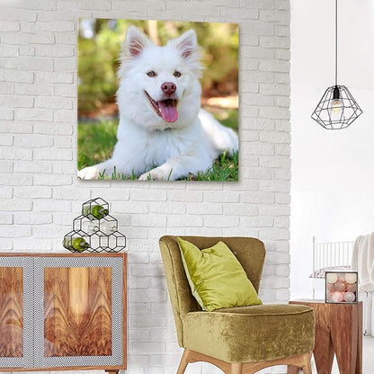Personalized Photo to Canvas Print - Canvas Prints With Your Photos on Custom Wall Art for Bedroom, Living Room, Wedding Baby Pet Family Picture Framed Wall Art (16" W x 16" H)