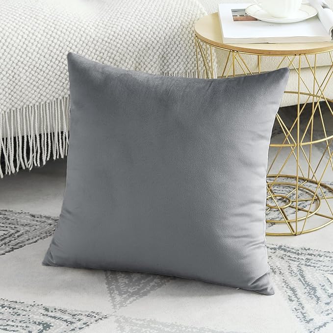 Artscope Luxury Velvet Pillow Covers Decorative Square Pillowcases Soft Solid Cushion Cases for Couch Sofa Bedroom Home Decor 20x20 Inch Graphite Grey