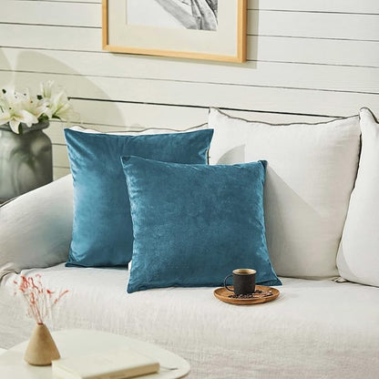 FY FIBER HOUSE Pack of 2 Velvet Throw Pillow Covers Decorative Square Pillowcase Soft Solid Cushion Case for Sofa/Couch Use, 16 x 16 Inch, Light Blue