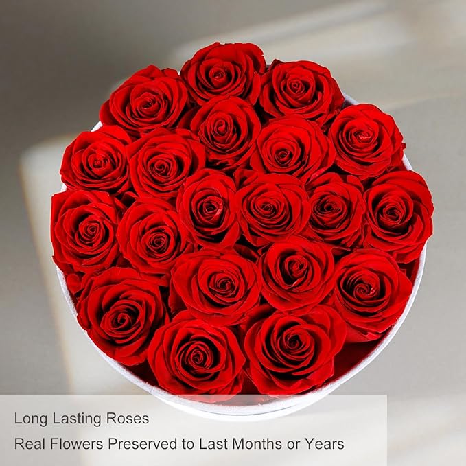 Gifts for Women Preserved Roses Flower Box, Luxury Velvet Box with 20 Roses, Preserved Flowers, Romantic Gift for Her, Wife, Girlfriend, Birthday Anniversary Christmas (Red)