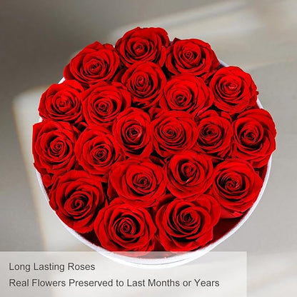 Gifts for Women Preserved Roses Flower Box, Luxury Velvet Box with 20 Roses, Preserved Flowers, Romantic Gift for Her, Wife, Girlfriend, Birthday Anniversary Christmas (Red)