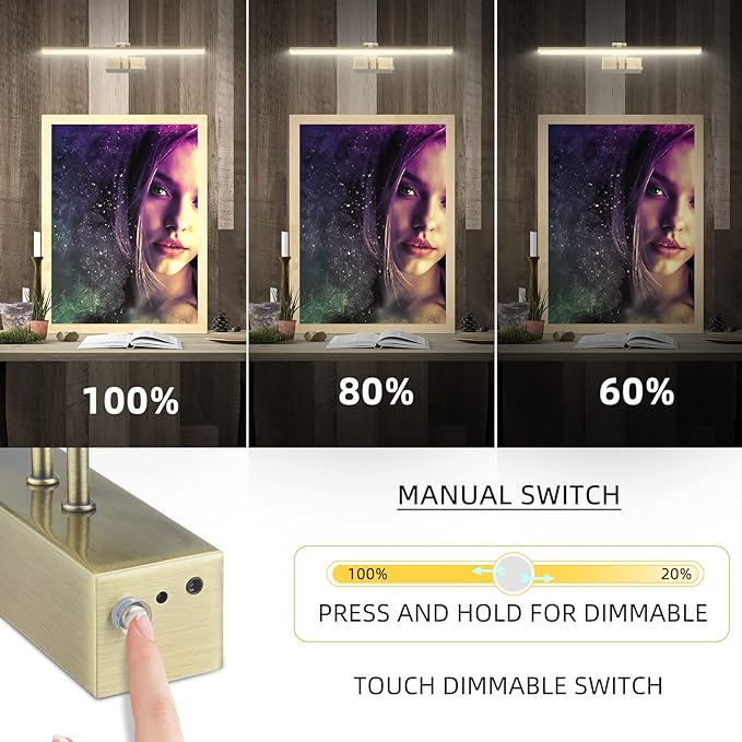 FUNCHDAY Picture Light,Battery Art Lights for Wall,Wireless Remote Painting Light with Timer and Dimmable,13”Metal Display Lighting for Artwork,Portrait,Gallery-Antique Brass