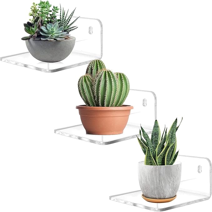 Acrylic Small Shelf,Mini Floating Wall Shelf,Wall Mounted Storage Shelf,for Pop Figures,Plant,Picture Photo Modern Wall for Office Bedroom Living Room,Clear (3 Pack)
