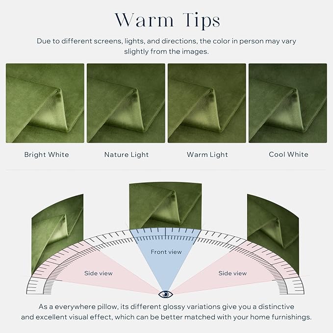 Phantoscope Pack of 2 Velvet Decorative Throw Decorative Pillow Cover Soft Solid Square Cushion Case for Couch Green 22 x 22 inches 55 x 55 cm