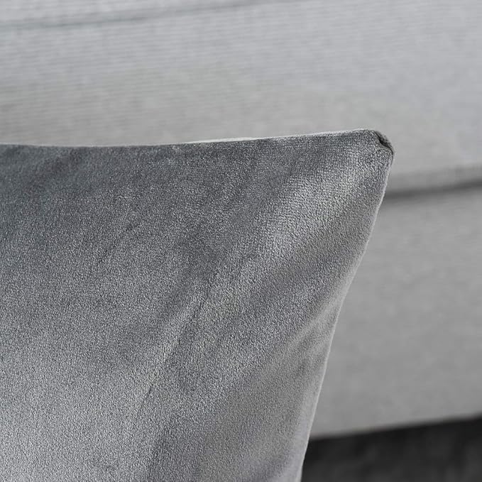 Set of 2 Comfortable Throw Pillow Cover for Bedding, Decorative Accent Cushion Sham Case for Couch Sofa, Soft Solid Velvet with Zipper Hidden - 18"x18", Dolphin Gray