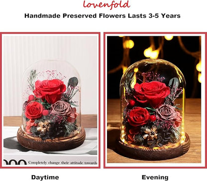 Lovenfold Flowers for Delivery Preserved Rose Gifts for Her,Long-Lasting Forever Flowers in Glass Dome,Birthday Gifts for Women Mom Wife Friend(Red Rose)