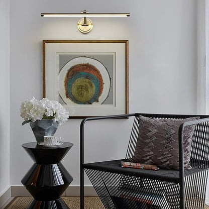 Hard-Wired Picture Lights 23.6 Inch Dimmable LED Wall Art Lighting Modern Gallery Light Poster Lights Adjustable Swing Arm Picture Frame Light for Display Art Work,14W,2700K, Warm White Antique Bronze
