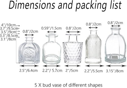 Bud Vases in Bulk - Small Glass Vase Set of 5 Different Shape Vintage, Mini Vases Clear Small Vases for Flowers, Glass Bud Vase Glass Flower Clear Vases for Centerpiece Bulk, Wedding Table