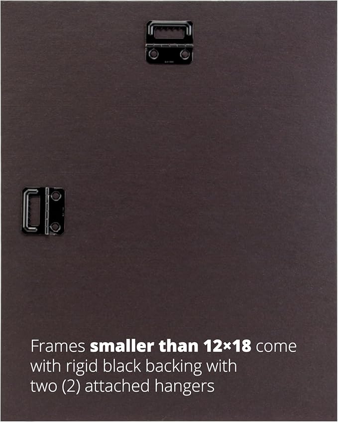 Craig Frames 1WB3BK 6 by 14-Inch Black Picture Frame, Single White Collage Mat with 2-4 by 6-Inch Openings