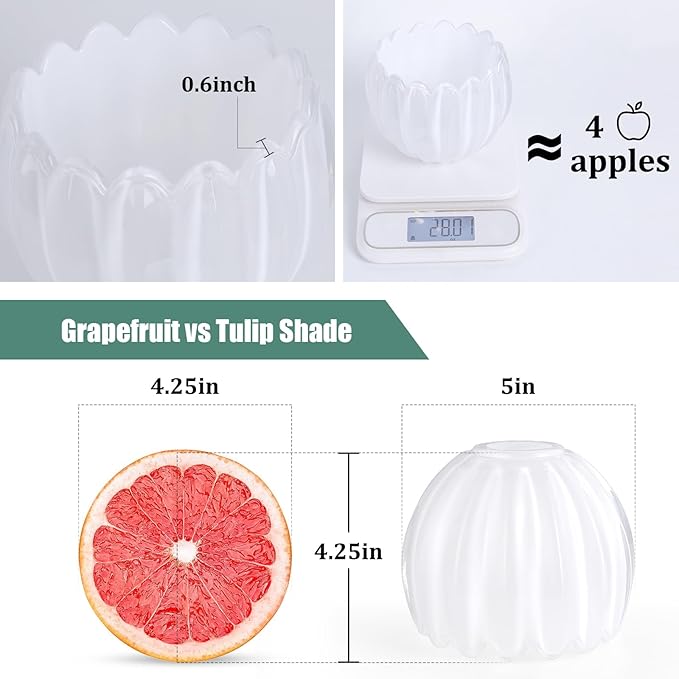 Tulip Lamp Shades Replacement, 5" Dia. * 4.25" H White Glass Sconce Shade Heavy and Thick for Wall Sconces Pendant Lights Ceiling Lights Chandelier, 1 Pack