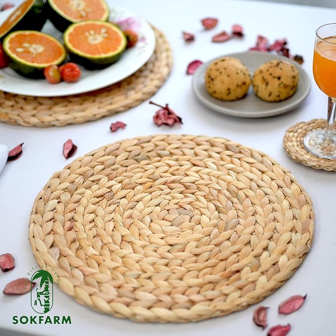 Woven Placemats Set of 10, Table Mats Set of 10, Water Hyacinth Round Placemats for Round Table, Chargers for Dinner Plates, Wicker Chargers for Dinner Plates, Woven Placemat, Place Mats 11.8 in