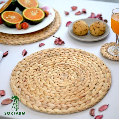 Woven Placemats Set of 10, Table Mats Set of 10, Water Hyacinth Round Placemats for Round Table, Chargers for Dinner Plates, Wicker Chargers for Dinner Plates, Woven Placemat, Place Mats 11.8 in