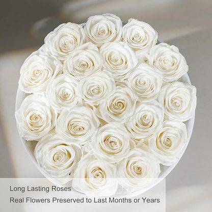Gifts for Women Preserved Roses Flower Box, Luxury Velvet Box with 20 Roses, Preserved Flowers, Romantic Gift for Her, Wife, Girlfriend, Birthday Anniversary Christmas (White)