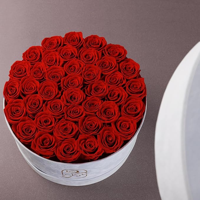 Gifts for Women Preserved Roses Flower Box, Luxury Velvet Box with 40 Roses, Preserved Flowers, Romantic Gift for Her, Wife, Girlfriend, Birthday Anniversary Christmas (Red)