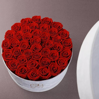 Gifts for Women Preserved Roses Flower Box, Luxury Velvet Box with 40 Roses, Preserved Flowers, Romantic Gift for Her, Wife, Girlfriend, Birthday Anniversary Christmas (Red)