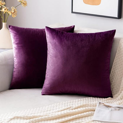 EMEMA Pack of 2 Velvet Throw Pillow Covers Decorative Square Pillowcase Soft Solid Cushion Case for Sofa Bedroom Chair Car 20x20 Inch Eggplant Purple