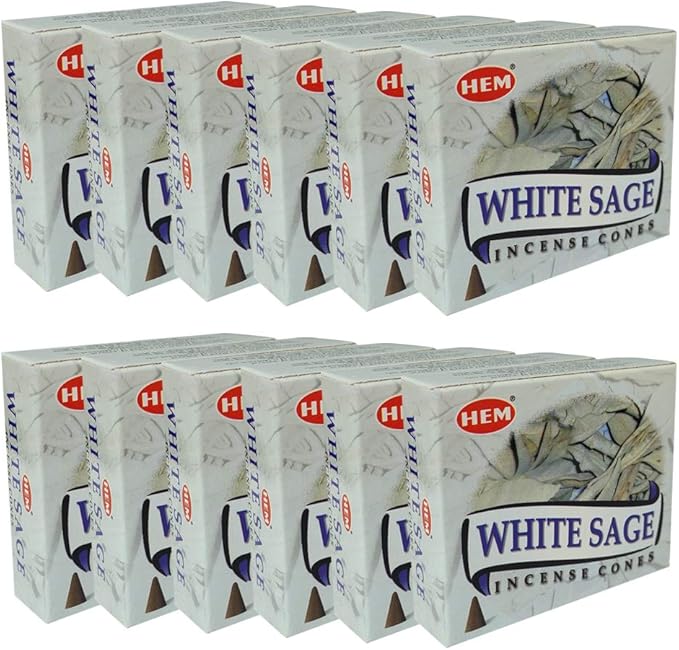 White Sage Incense Cones and Cone Incense Burner Bundle Insence Insense Hem Incense