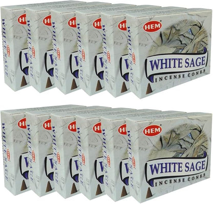 White Sage Incense Cones and Cone Incense Burner Bundle Insence Insense Hem Incense