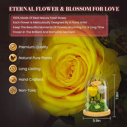 Preserved Flowers Gifts for Women Eternal Rose In Glass Dome Light Up Flower Real Rose Eternal Flowers for Decoration Long Lasting Forever Preserved Glitter Roses Unique Gift on All Occasions(Yellow)