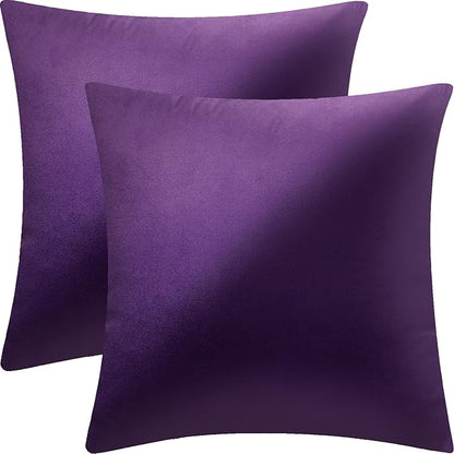 2 Pack 16x16 Pillow Cover Velvet Pillow Covers, Square Throw Pillow Covers for Living Room Decorations Throw Pillow Case, Throw Pillow Cover Cushion Cover for Sofa Bedroom Car, Eggplant Purple