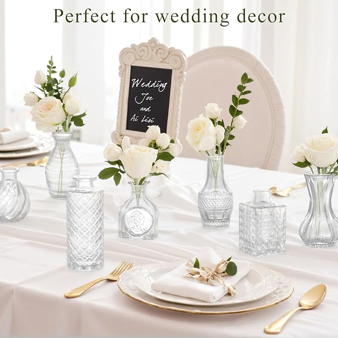 DomeStar 16PCS Glass Bud Vases Set, Small Clear Cylinder Vases for Plant Propagation Station Plant Terrarium, Vintage Clear Bud Vase in Bulk for Rustic Wedding Centerpieces Home Table Flower Decor