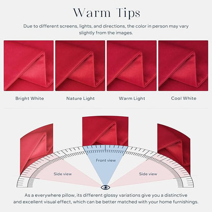 Phantoscope Pack of 2 Velvet Decorative Throw Decorative Pillow Cover Soft Solid Square Cushion Case for Couch Wine Red 12 x 20 inches 30 x 50 cm