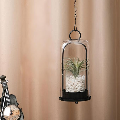 12" High Versatile Modern Metal Hurricane Lantern with Handmade Sturdy Glass Dome in Black for Pillar Candle & Plants, for Living Room, Porch, Mantel Decoration (Black, 5"x12")