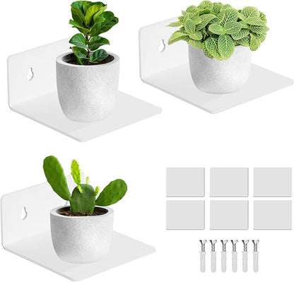 Acrylic Small Adhesive Wall Shelves,Mini Floating Shelves,Acrylic Display Shelves,Ledges for Pop Figures,Plant,Picture Photo Modern Wall for Bedroom Decor Living Room