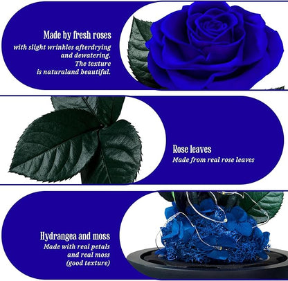 3 Preserved Flowers Roses in Glass Dome with Light for Beauty and The Beast Decor Real Rosas Eternas for Women Mom Birthday,Forever Blue Roses for Delivery,Christmas for Wife Girlfriend Her
